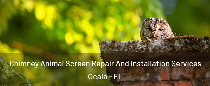 Chimney Animal Screen Repair And Installation Services Ocala - FL