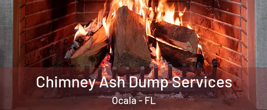  Chimney Ash Dump Services Ocala - FL