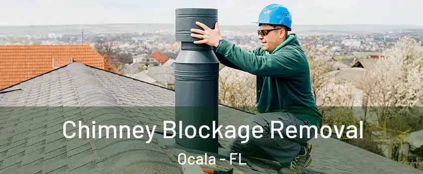  Chimney Blockage Removal Ocala - FL