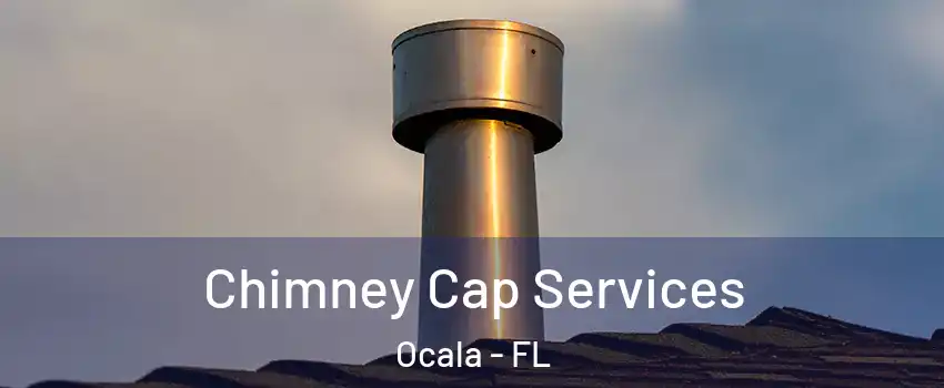 Chimney Cap Services Ocala - FL