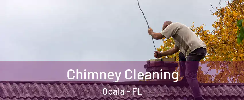  Chimney Cleaning Ocala - FL