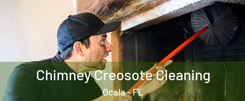  Chimney Creosote Cleaning Ocala - FL