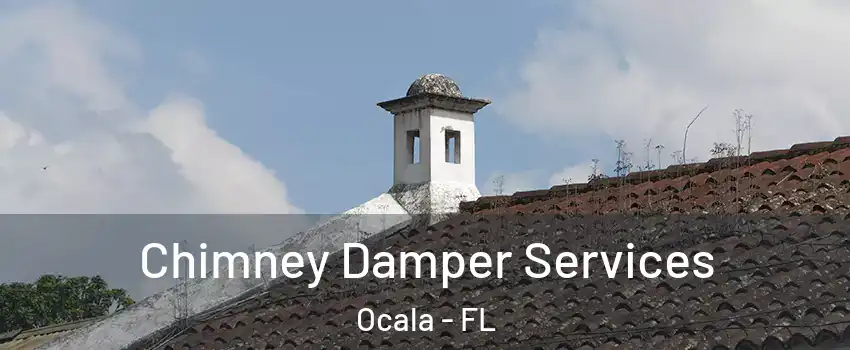  Chimney Damper Services Ocala - FL