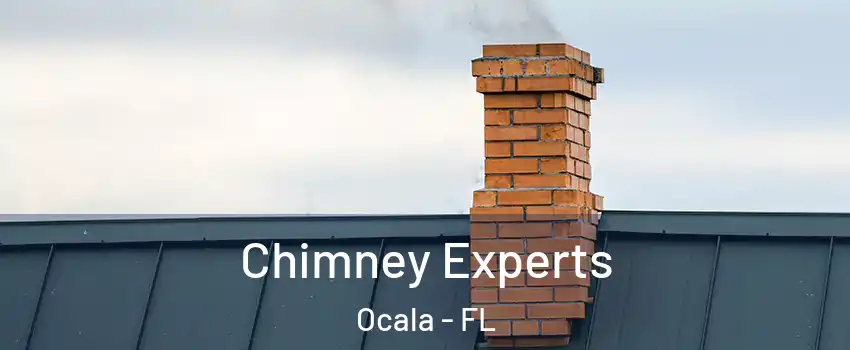 Chimney Experts Ocala - FL