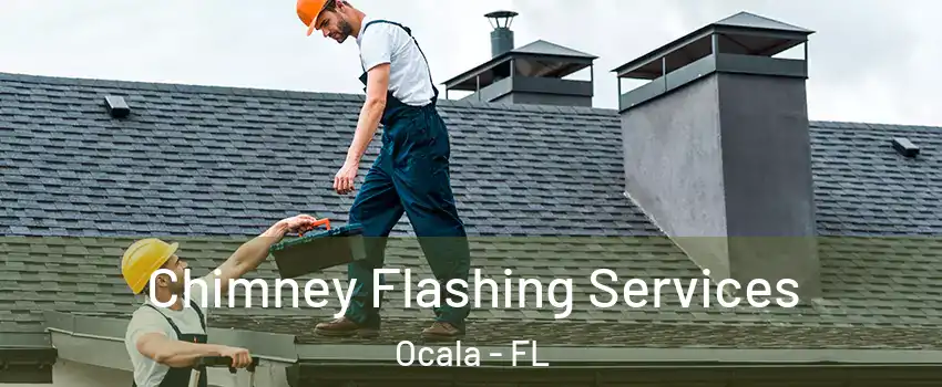  Chimney Flashing Services Ocala - FL