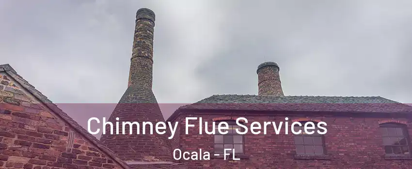  Chimney Flue Services Ocala - FL