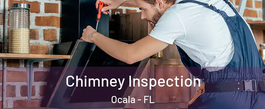  Chimney Inspection Ocala - FL