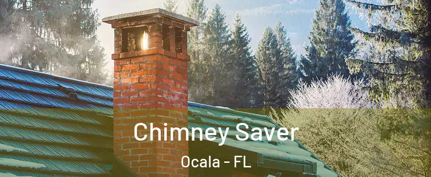 Chimney Saver Ocala - FL