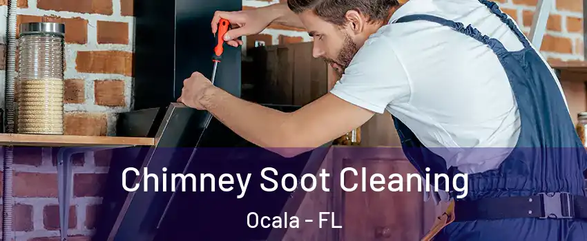  Chimney Soot Cleaning Ocala - FL