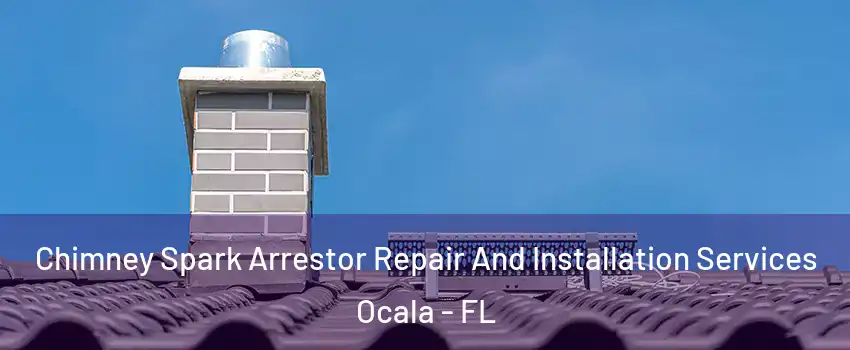  Chimney Spark Arrestor Repair And Installation Services Ocala - FL