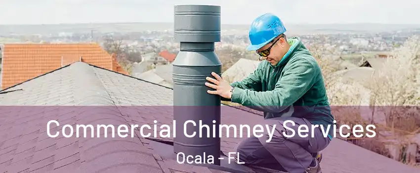  Commercial Chimney Services Ocala - FL
