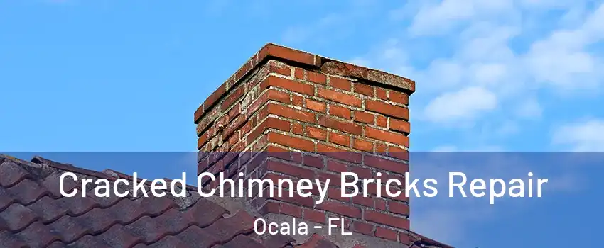  Cracked Chimney Bricks Repair Ocala - FL