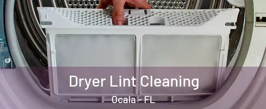  Dryer Lint Cleaning Ocala - FL