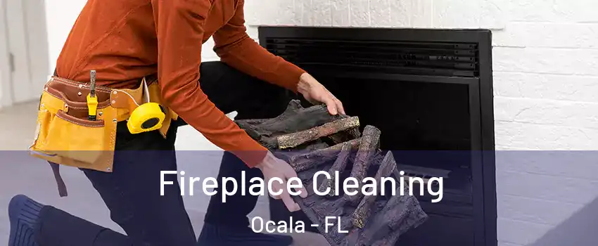  Fireplace Cleaning Ocala - FL