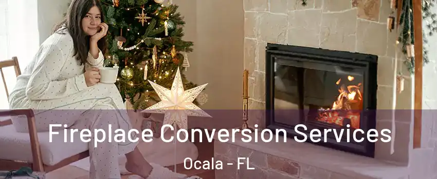  Fireplace Conversion Services Ocala - FL