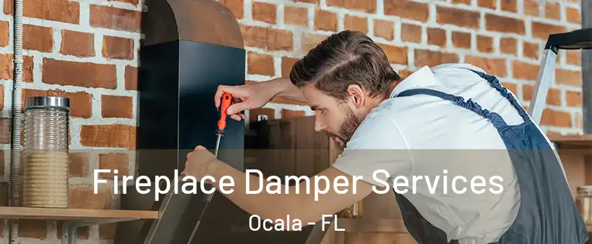  Fireplace Damper Services Ocala - FL