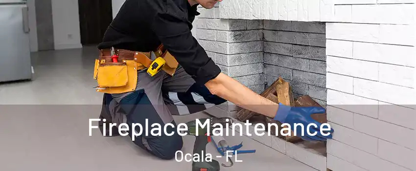  Fireplace Maintenance Ocala - FL