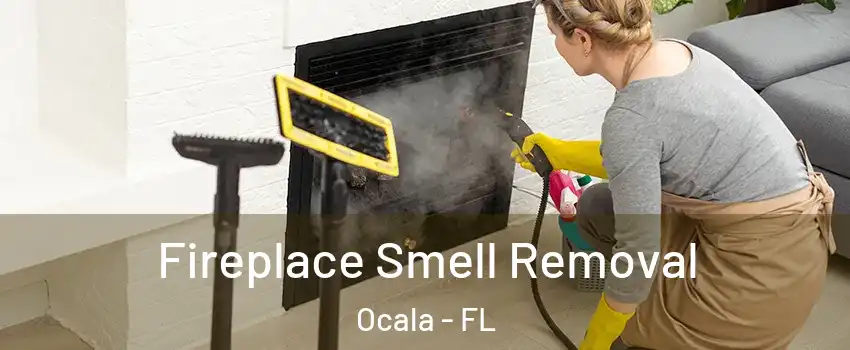  Fireplace Smell Removal Ocala - FL