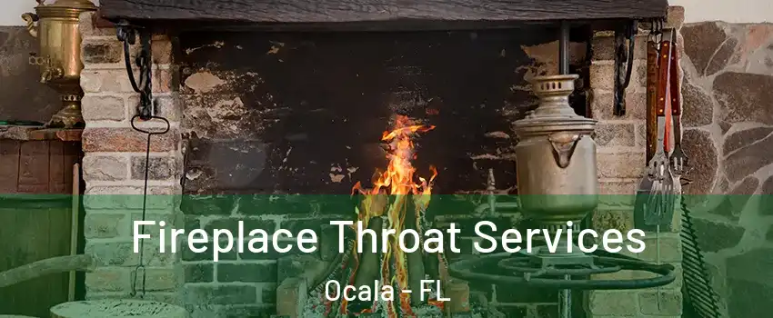  Fireplace Throat Services Ocala - FL