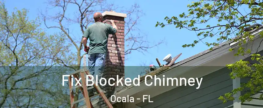  Fix Blocked Chimney Ocala - FL