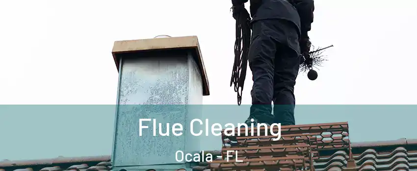  Flue Cleaning Ocala - FL