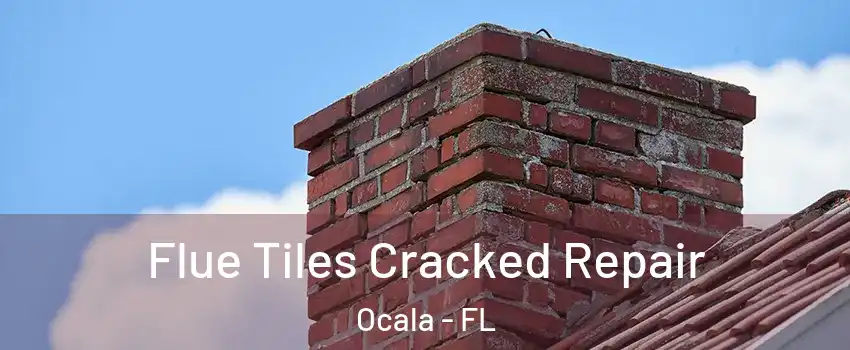  Flue Tiles Cracked Repair Ocala - FL