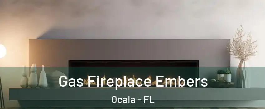  Gas Fireplace Embers Ocala - FL