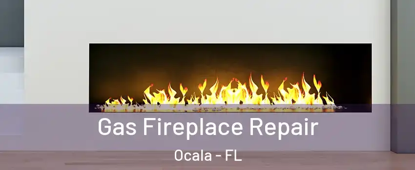  Gas Fireplace Repair Ocala - FL