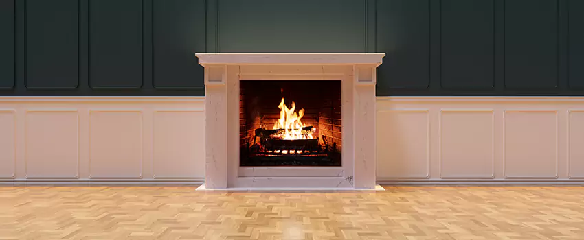 Napoleon Electric Fireplaces Inspection Service in Ocala, Florida