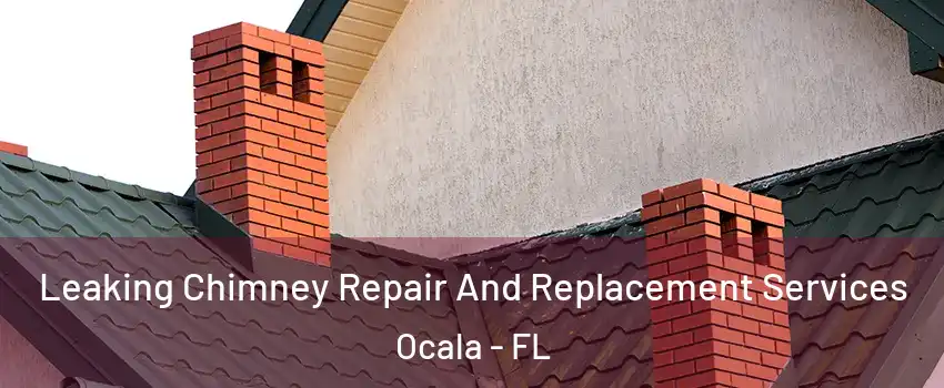  Leaking Chimney Repair And Replacement Services Ocala - FL