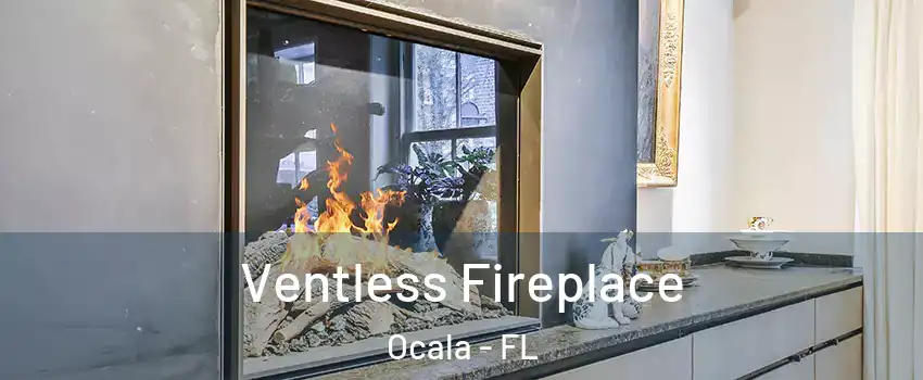  Ventless Fireplace Ocala - FL